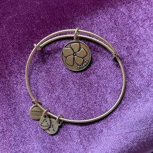 Alex & Ani Friend Bangle